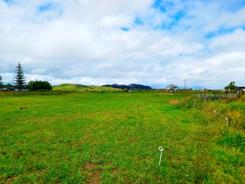 Image 1 of 19