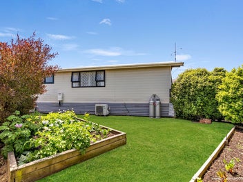 "A Solid Step into the Market"