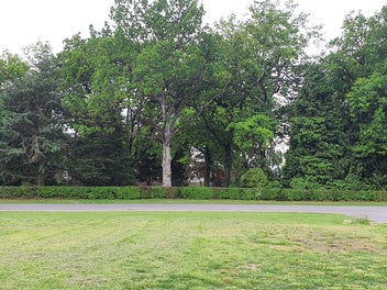 Image 1 of 11