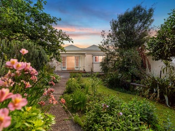 Grey Lynn Renaissance - Classic Character Canvas