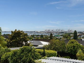 Exceptional views, position and potential