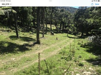 30 Ha Rainforest Lifestyle Block