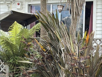 Bring out the overalls