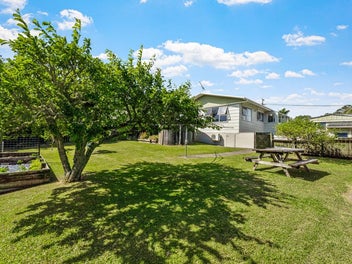 Catch of the Coast: The Kiwi Dream