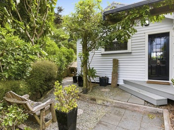 A Hidden Treasure in Paekakariki