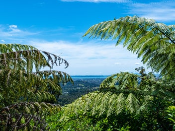 Final Call! Auction Wednesday @11am.