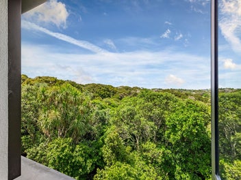 Proof Mission Bay Can Be Peaceful