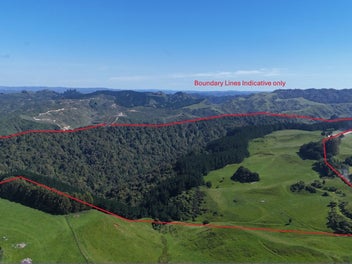 Image 1 of 20