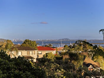 Auction This Thursday!