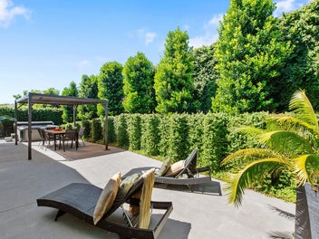 Wow, That’s Impressive, OOOHHHH!