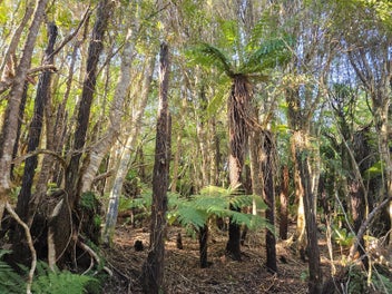 Image 1 of 7