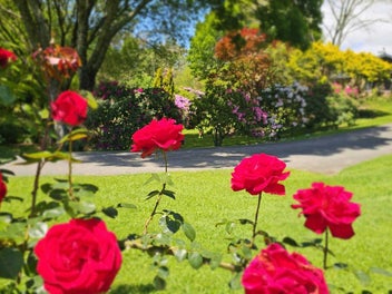 Lifestyle sanctuary, Te Puna gem