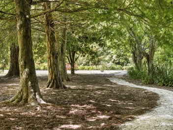 Lifestyle sanctuary, Te Puna gem