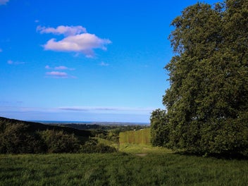 Wow-factor lifestyle sections