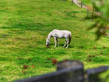 A Lifestyle Choice, Not A Compromise