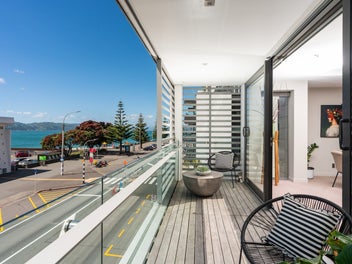 The Oriental Bay Dream