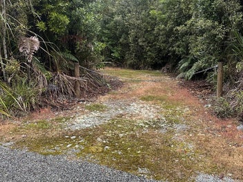 Secluded native bush retreat