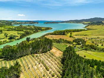 Expansive Harbour Views