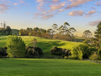 WHISPERING TREES - Create the Dream