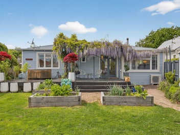 Rich in Character, Ready to Love!