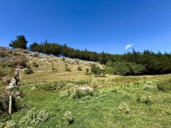 Paddock, Forest and Stream.