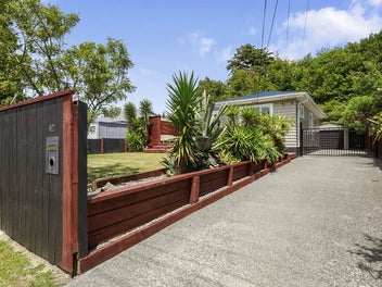 Balanced Beauty in Bledisloe