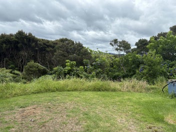 Build your future at Jacks Bay