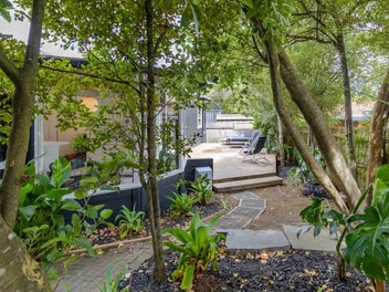 Ponsonby in the Bush