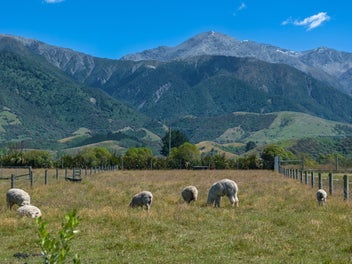 Vendor demands a result - exceptional lifestyle