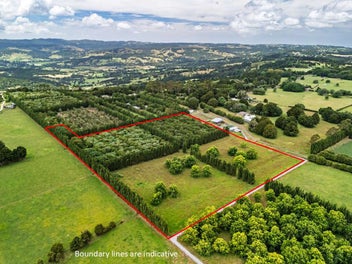 10 Acres Of Opportunity In Okaihau
