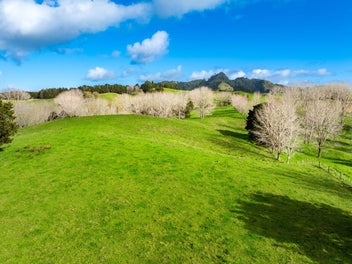 Maungakaramea grazing/lifestyle - 31ha block
