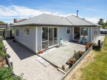 Motivated vendors, modern style