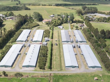 Scale & Income with Dual Titles & Houses