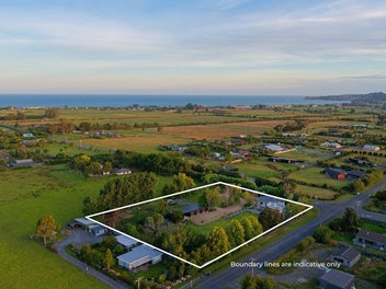 Looking for a New Custodian!