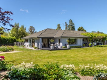 Spacious, sunny, and stylish