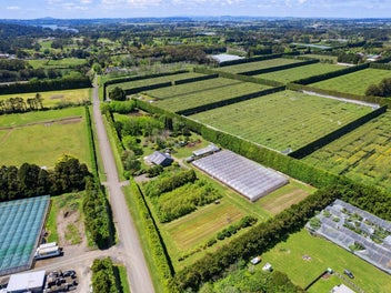 Stunning Lifestyle and Business Opportunity