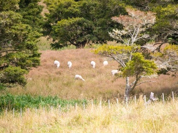 Lifestyle Living Awaits