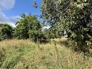 A blank canvas at the end of the Cul-de-sac