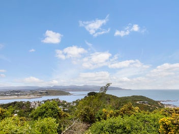 Fantastic Doer Upper/Project