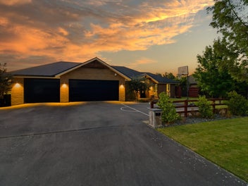 Looking for Knight Rider or Baywatch?