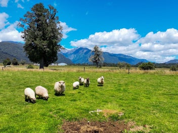 Modern Living With Lifestyle