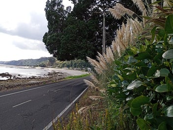 THE VISIONARY VALUE, TE MATA BAY