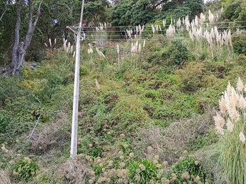 Image 1 of 8