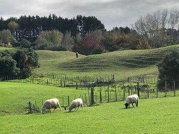 A Rare Lifestyle Sanctuary
