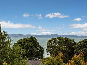 Space, views and top school zones | Ignore CV