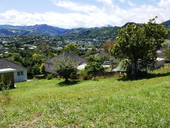 Nelson with elevated views