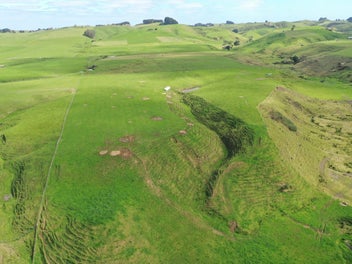 20 hectares of grazing land