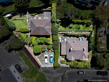 Dual Opportunity in the Heart of Maori Hill