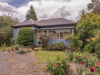 Character-packed Kiwi classic