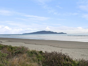 Subdivide, Renovate or Land Bank